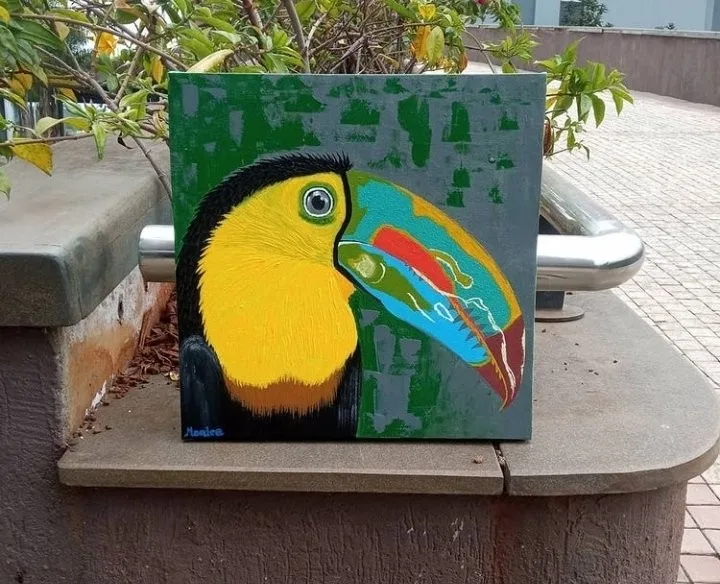Mysteries of the Toucan Bird