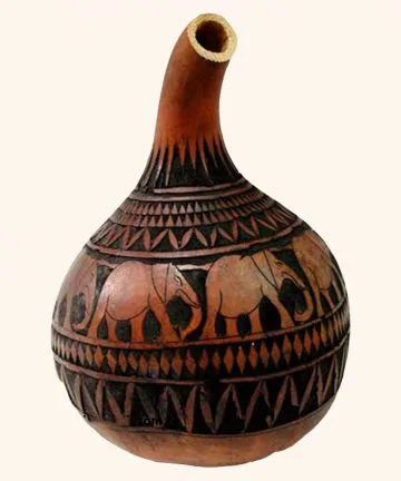 Richness of African Gourd.